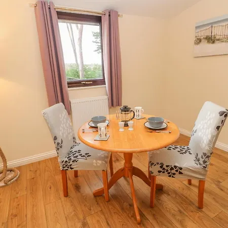 Orchid * Saltburn-by-the-Sea