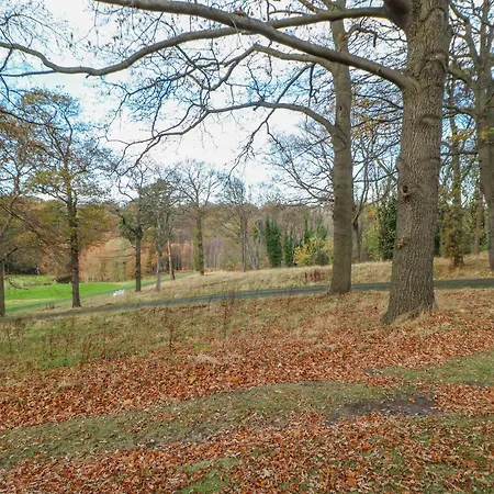 Сasa de vacaciones Orchid