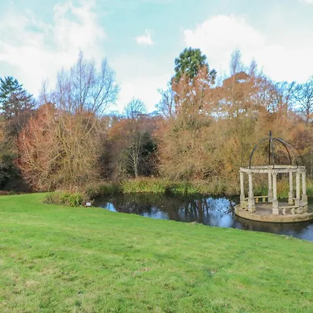 Orchid * ソルトバーン・バイ・ザ・シー