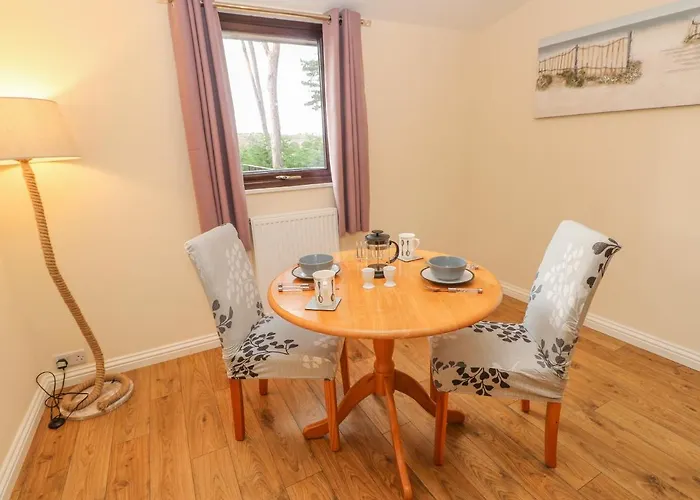 Orchid * Saltburn-by-the-Sea