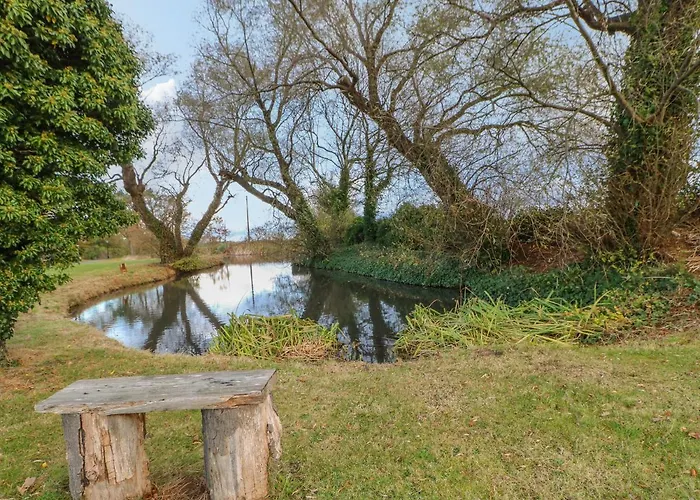 Hébergement de vacances Orchid