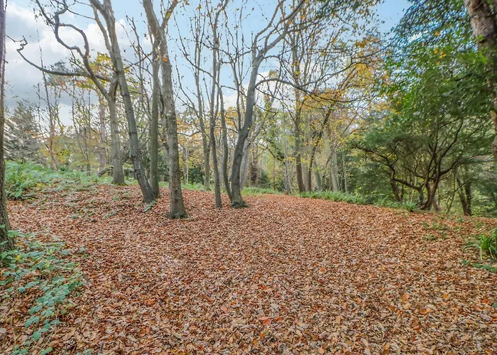 Orchid Hébergement de vacances *