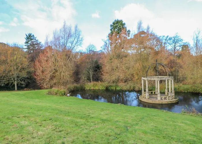 Orchid * Saltburn-by-the-Sea