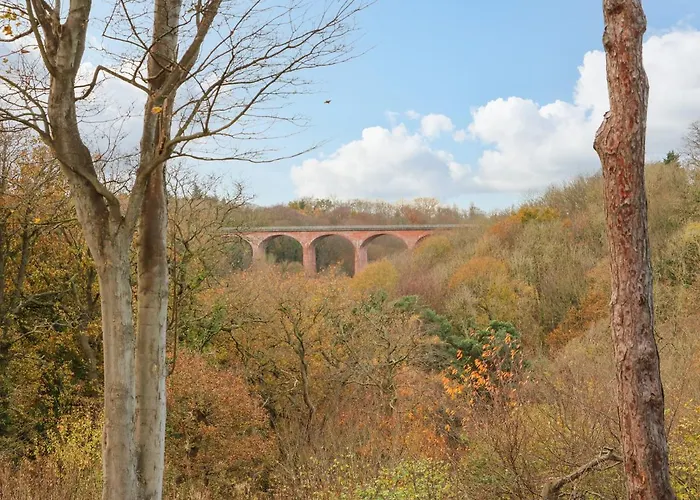 Orchid Hébergement de vacances