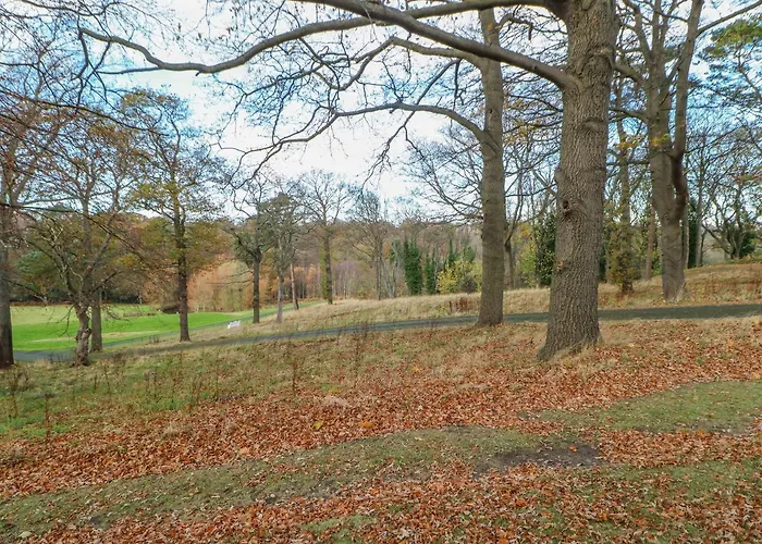 Hébergement de vacances Orchid