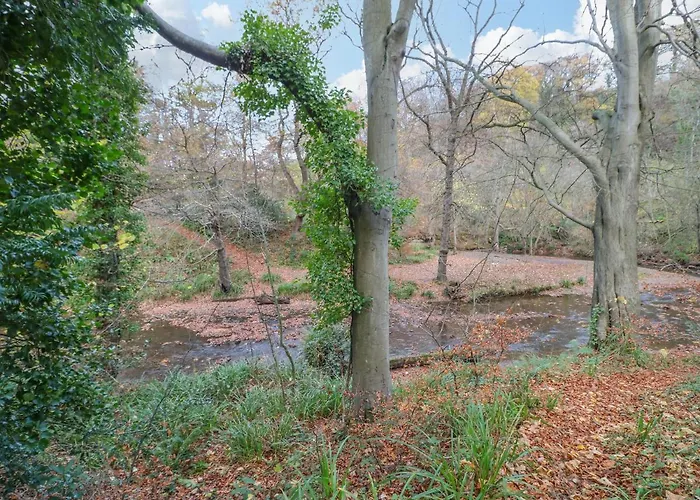 Orchid Hébergement de vacances *