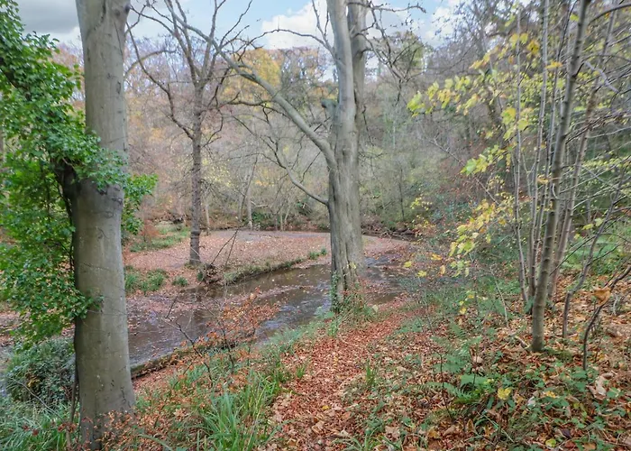 Orchid Hébergement de vacances *